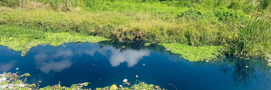 WhatsApp Image 2025-10-20 at 09.03.06